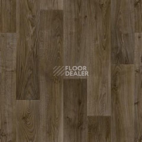 Линолеум Tarkett Discovery RIGARD 3 фото 1 | FLOORDEALER
